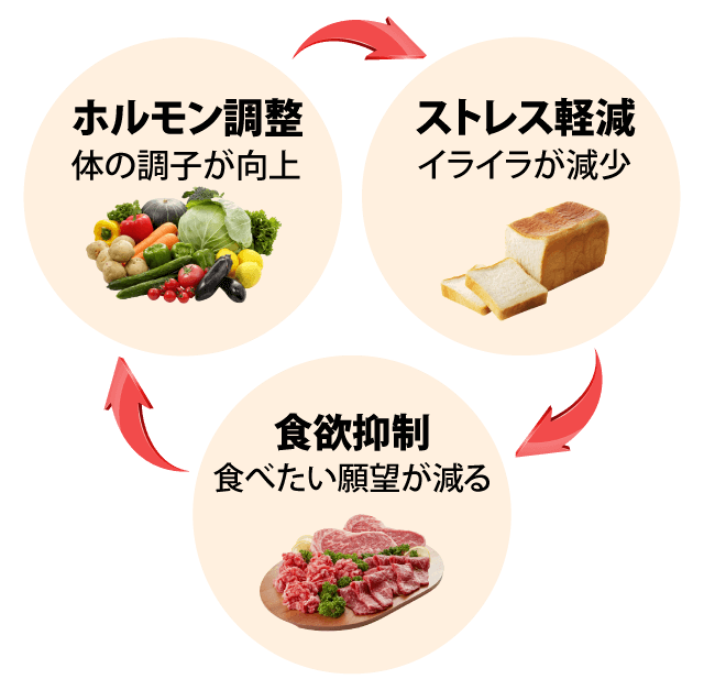 ホルモン調整・体の調子が向上　ストレス軽減・	イライラが減少　食欲抑制・食べたい願望が減る